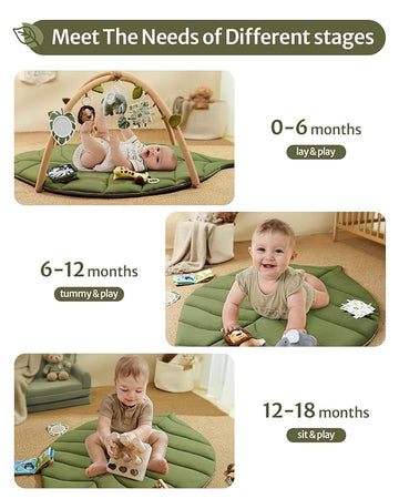 Baby Play Gym & Activity Mat
